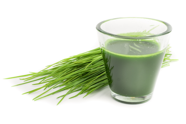 The Many Wonders Of Wheatgrass